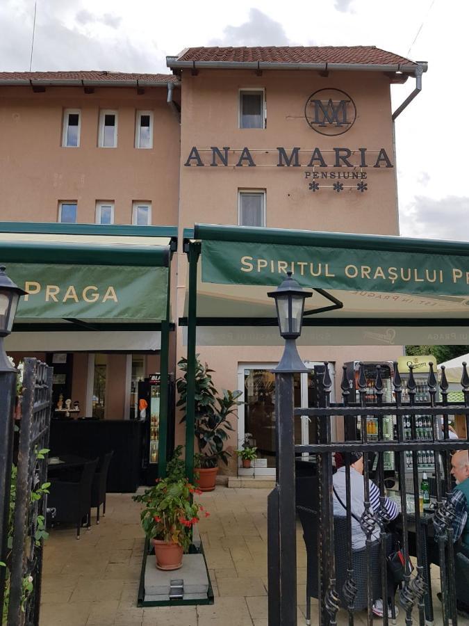 Pensiunea Ana Maria Баиле Феликс Экстерьер фото