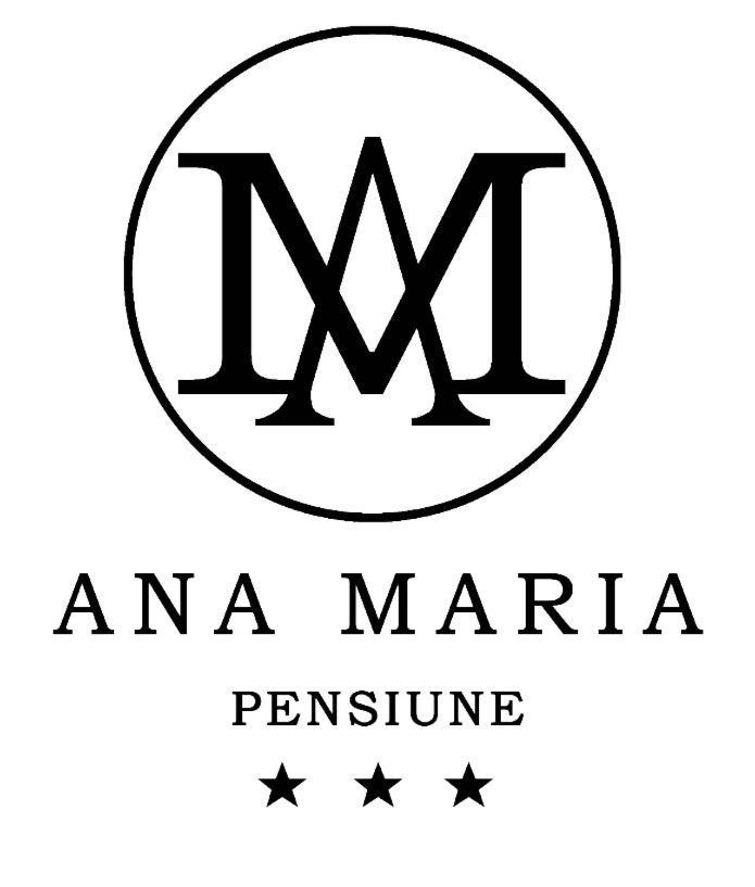 Pensiunea Ana Maria Баиле Феликс Экстерьер фото